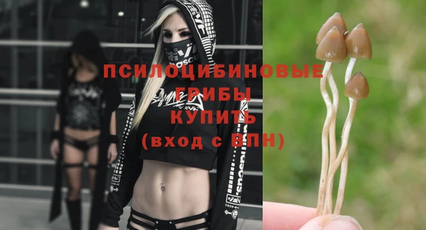 прущий лед Арсеньев