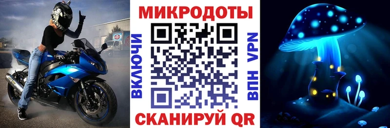 где найти   Медногорск  Галлюциногенные грибы Cubensis 